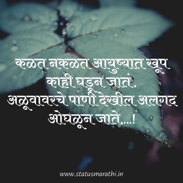 Image of thought of the day in marathi